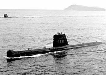 Amazone à la mer