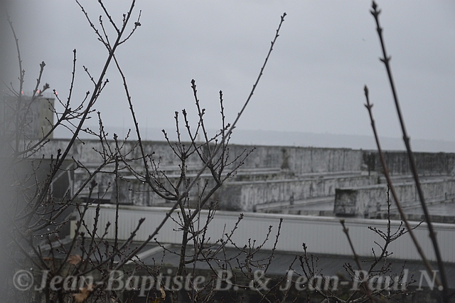 B.S.M. de Brest