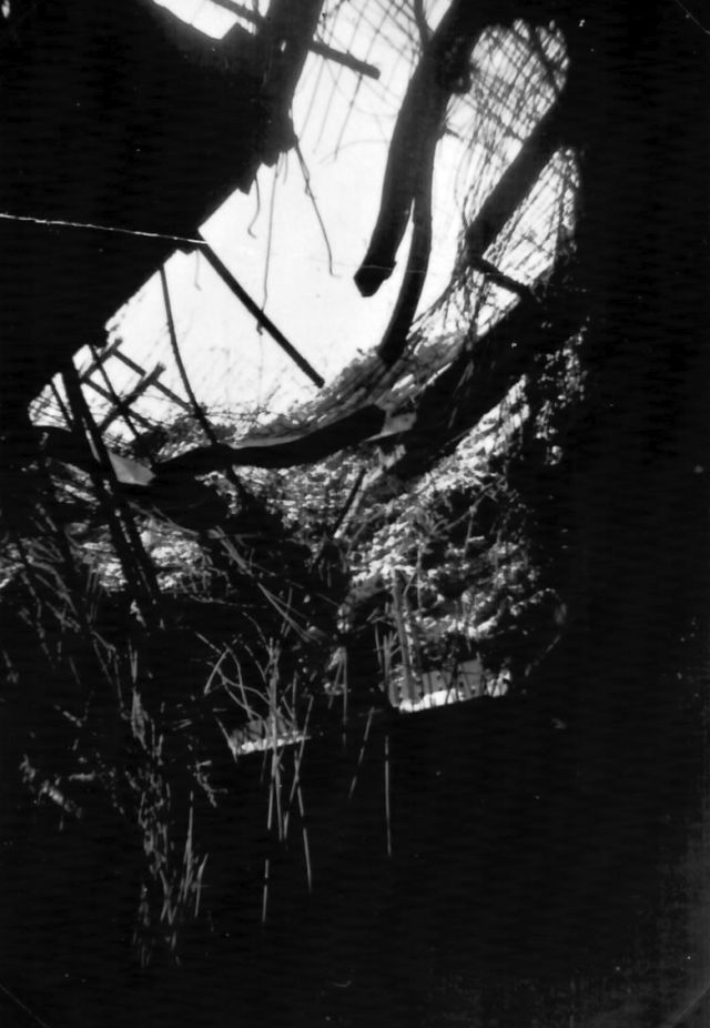 © René Triscos