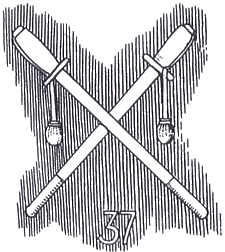 Crew 37a