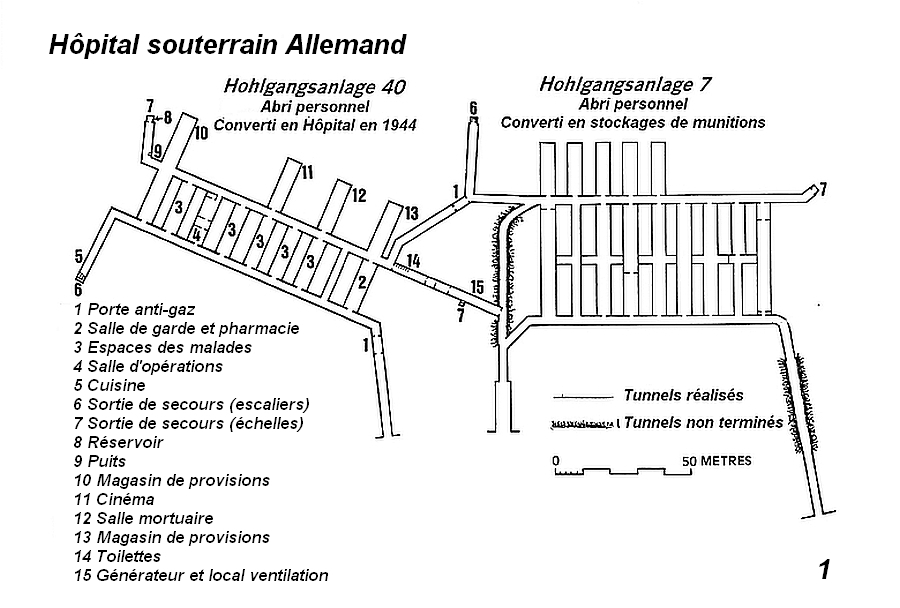 Guernsey Hohlgangsanlage 40