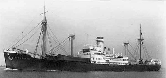 M.S. Hermonthis
