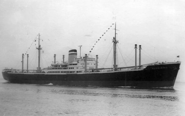 M.S. Mannheim