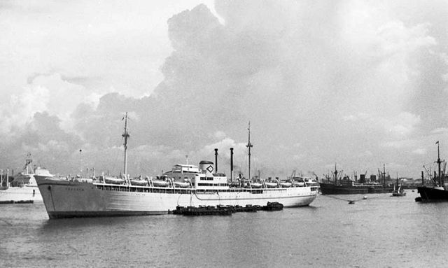 M.P. Skaugum ex Ostmark